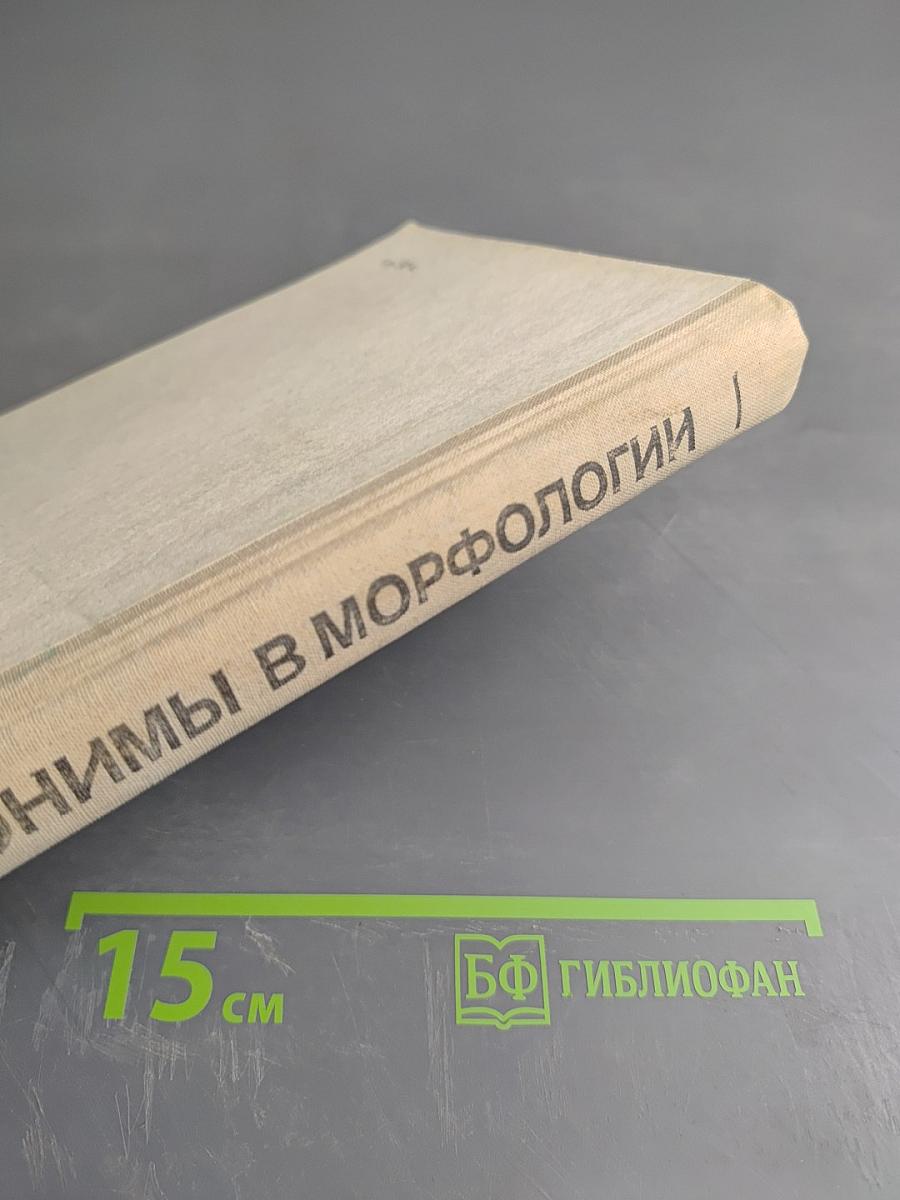 Справочник. Эпонимы в морфологии