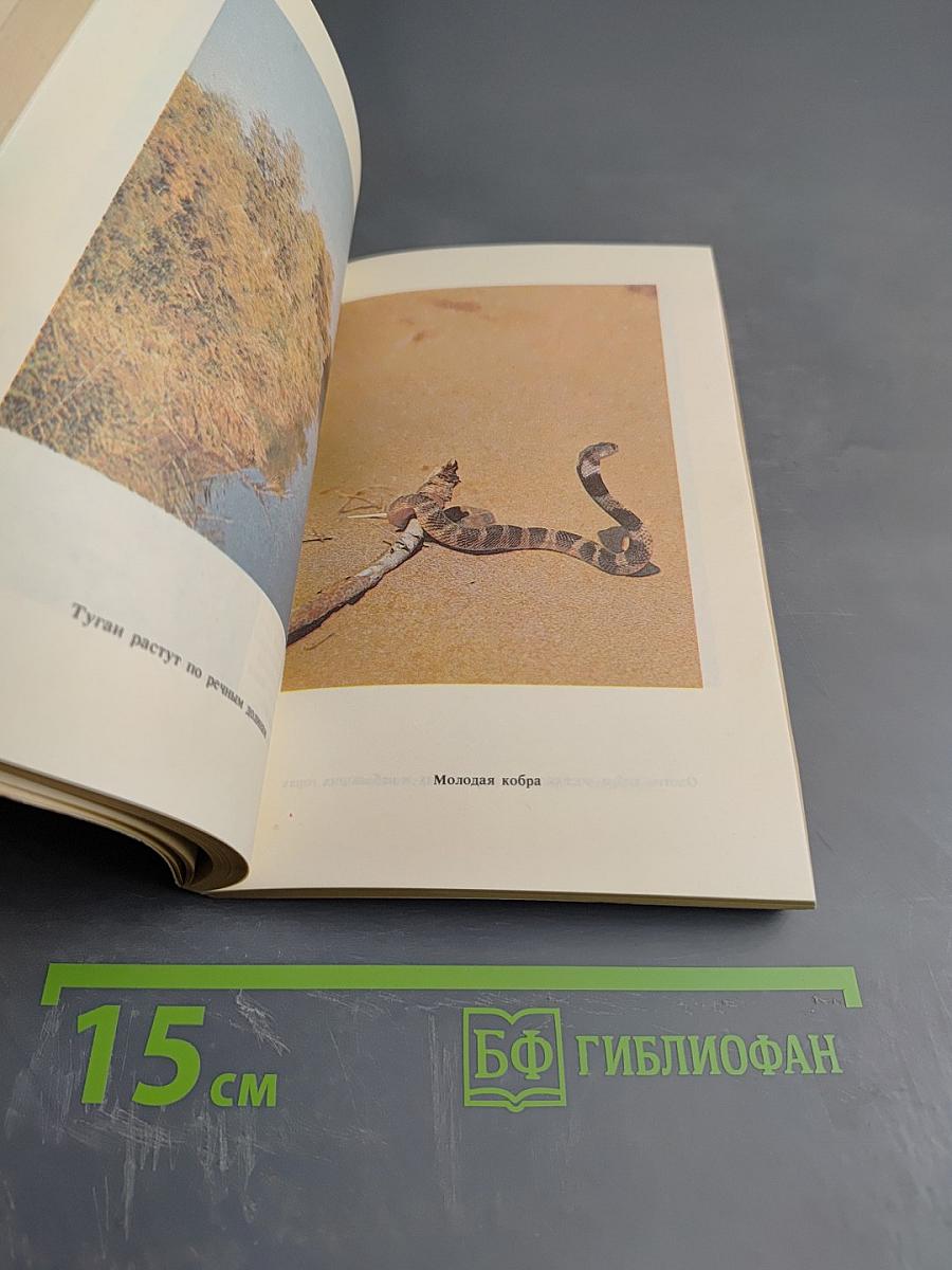 В поисках кобры. Записки герпетолога