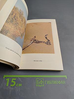 В поисках кобры. Записки герпетолога