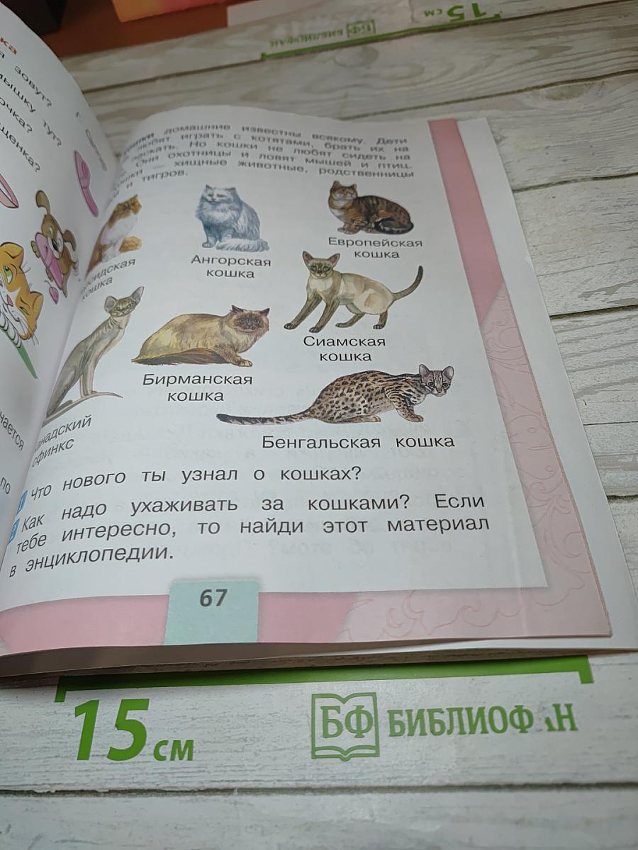 Литературное чтение 1 класс, Часть 2