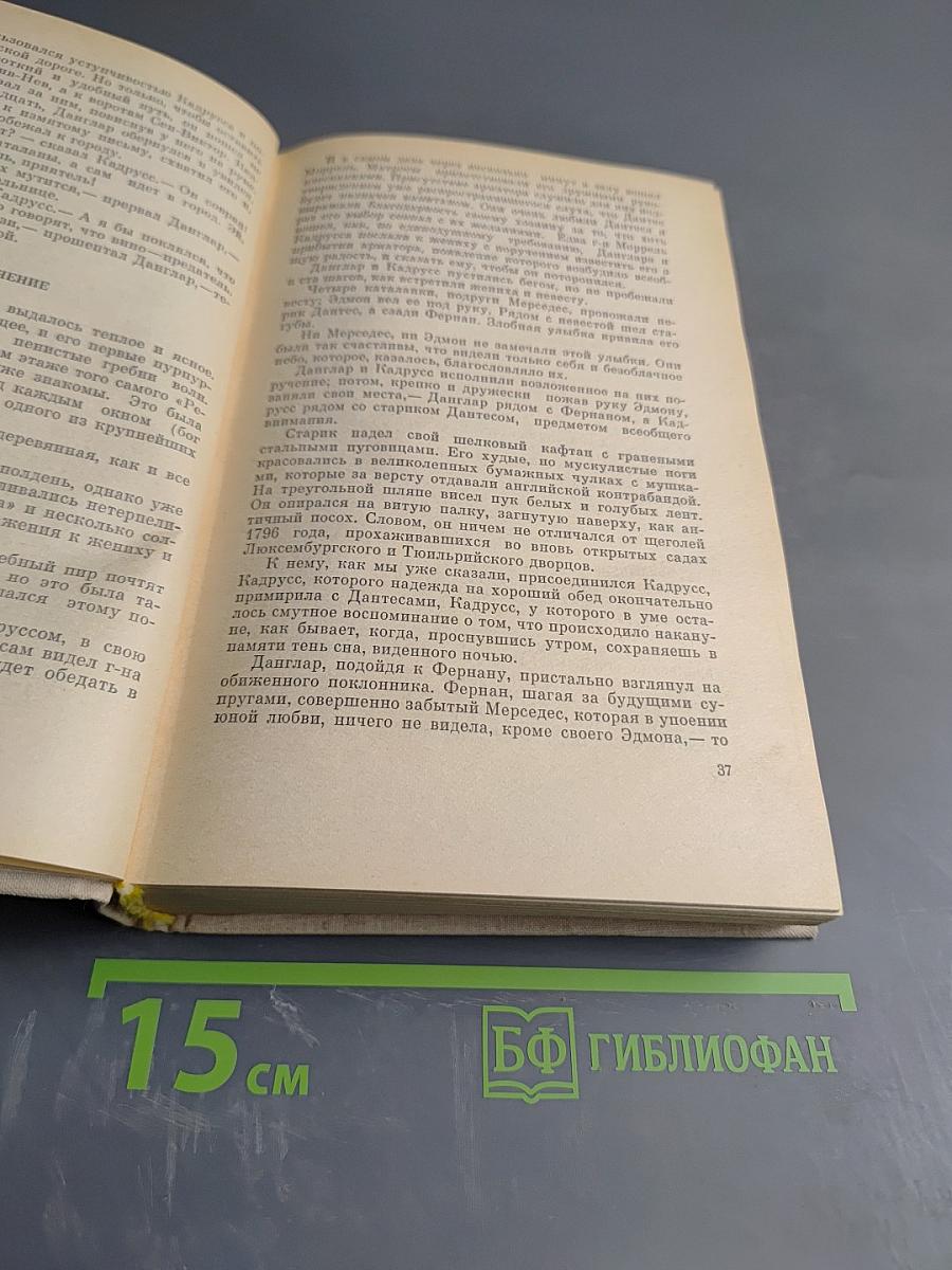 Граф Монте-Кристо, Том 1