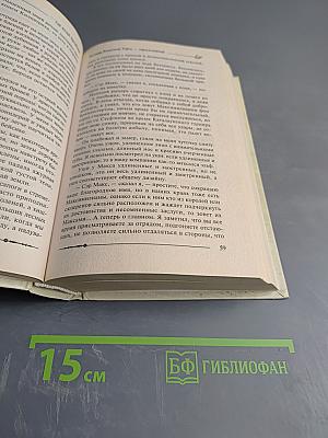 Ричард Длинные Руки — пфальцграф