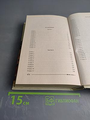 Ричард Длинные Руки — пфальцграф