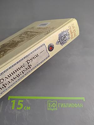 Ричард Длинные Руки — пфальцграф