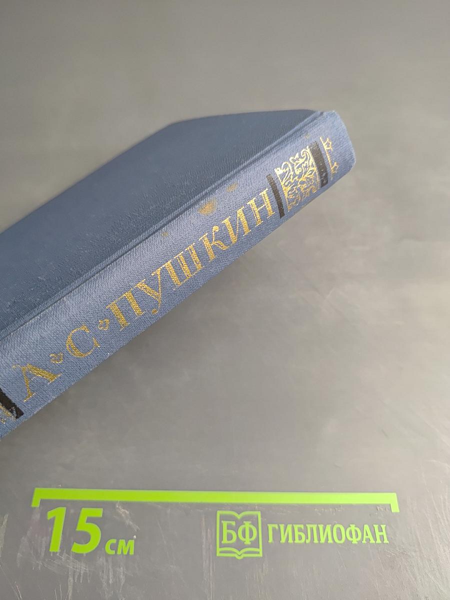 Собрание сочинений в десяти томах. Том IV: Евгений Онегин. Драматические произведения