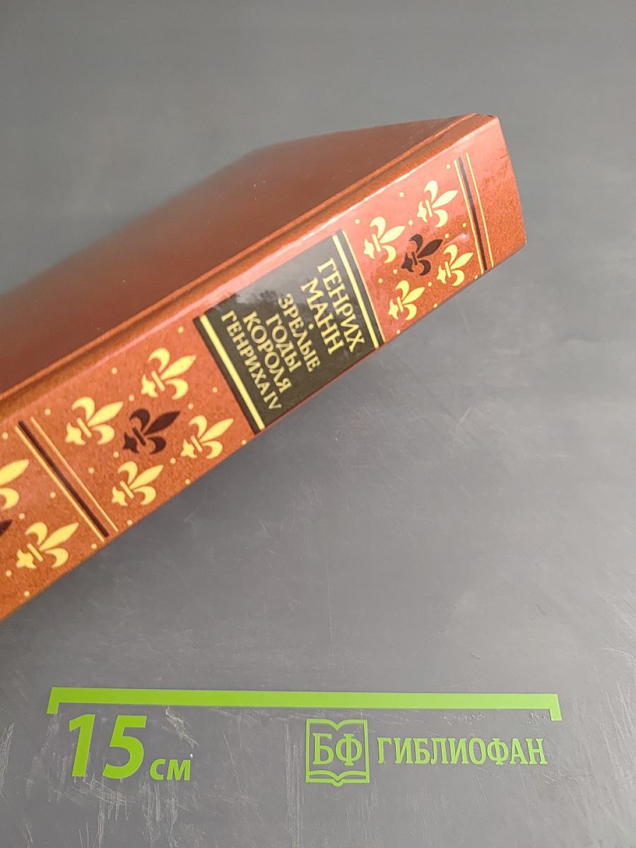 Зрелые годы короля Генриха IV