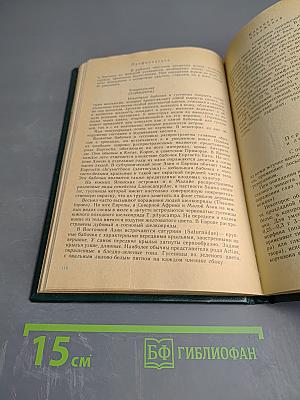 Опасные животные моря и некоторых районов суши