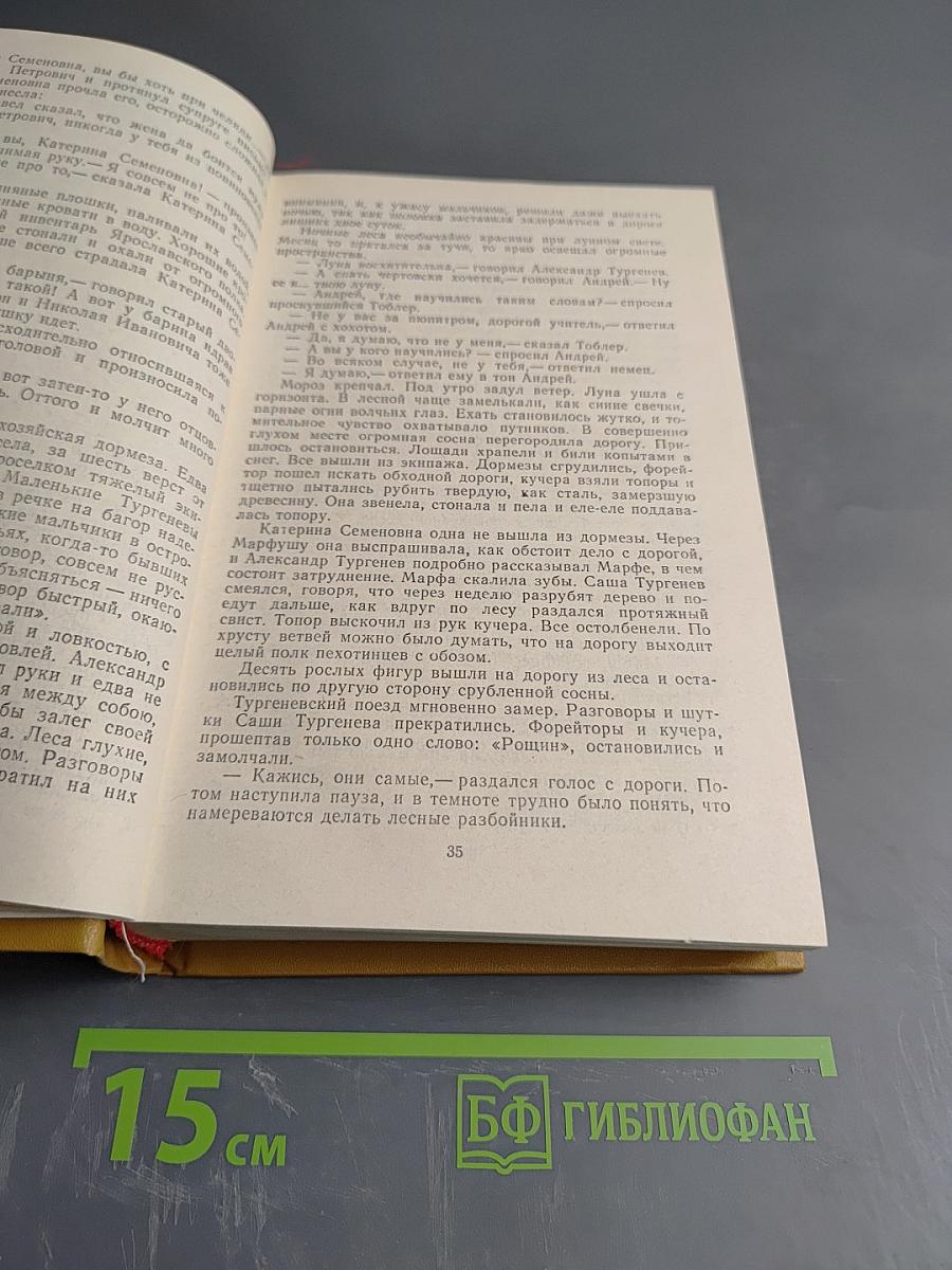 Повесть о братьях Тургеневых. Осуждение Паганини