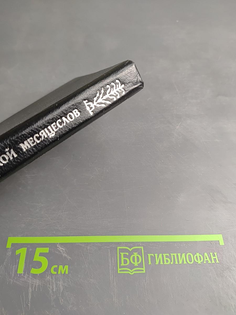 Городской месяцеслов: 1000 дат из прошлого Санкт-Петербурга Петрограда Ленинграда