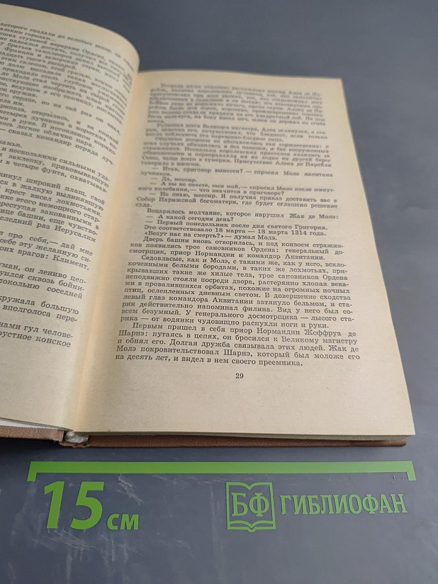 Железный король. Узница Шато-Гайара