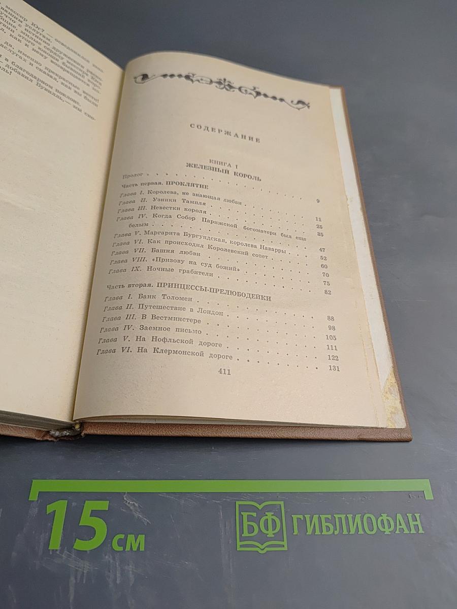 Железный король. Узница Шато-Гайара