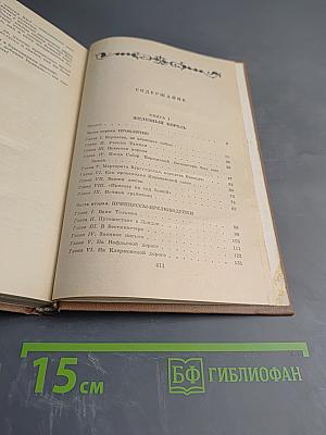 Железный король. Узница Шато-Гайара