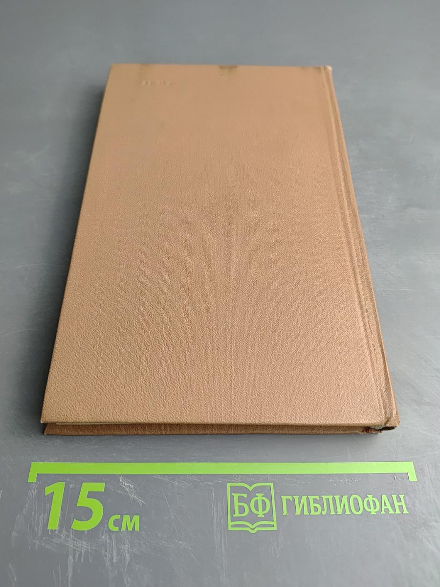 Железный король. Узница Шато-Гайара