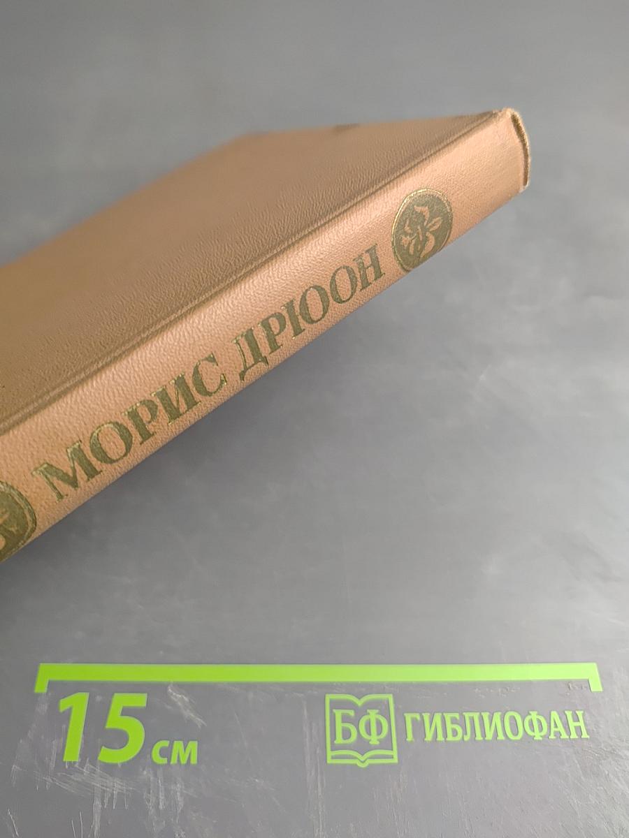 Железный король. Узница Шато-Гайара