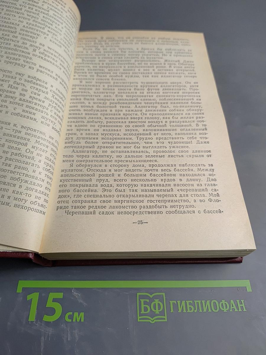 Оцеола, вождь семинолов. Затерянные в океане