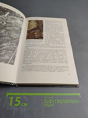 В безднах Земли