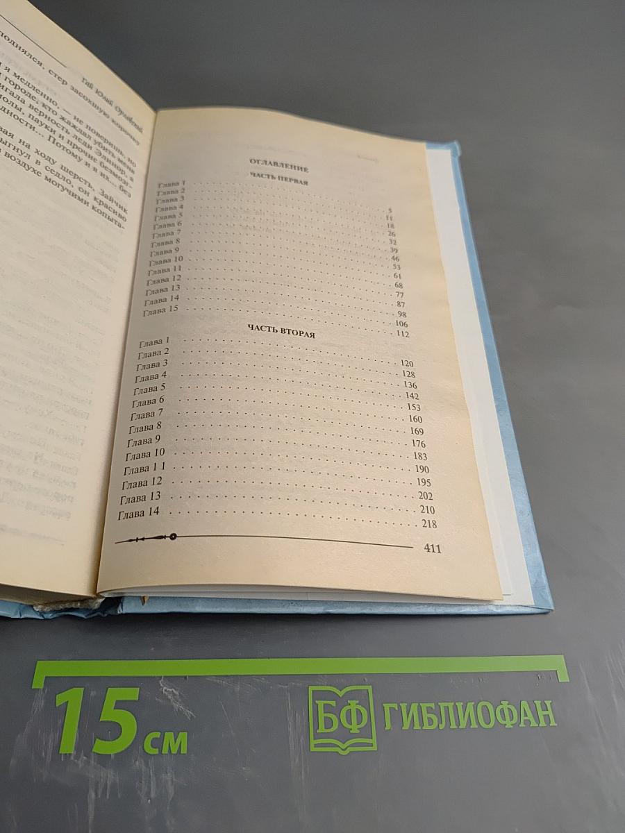 Ричард Длинные Руки - Бурграф