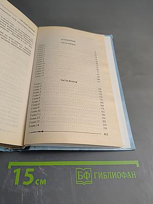 Ричард Длинные Руки - Бурграф