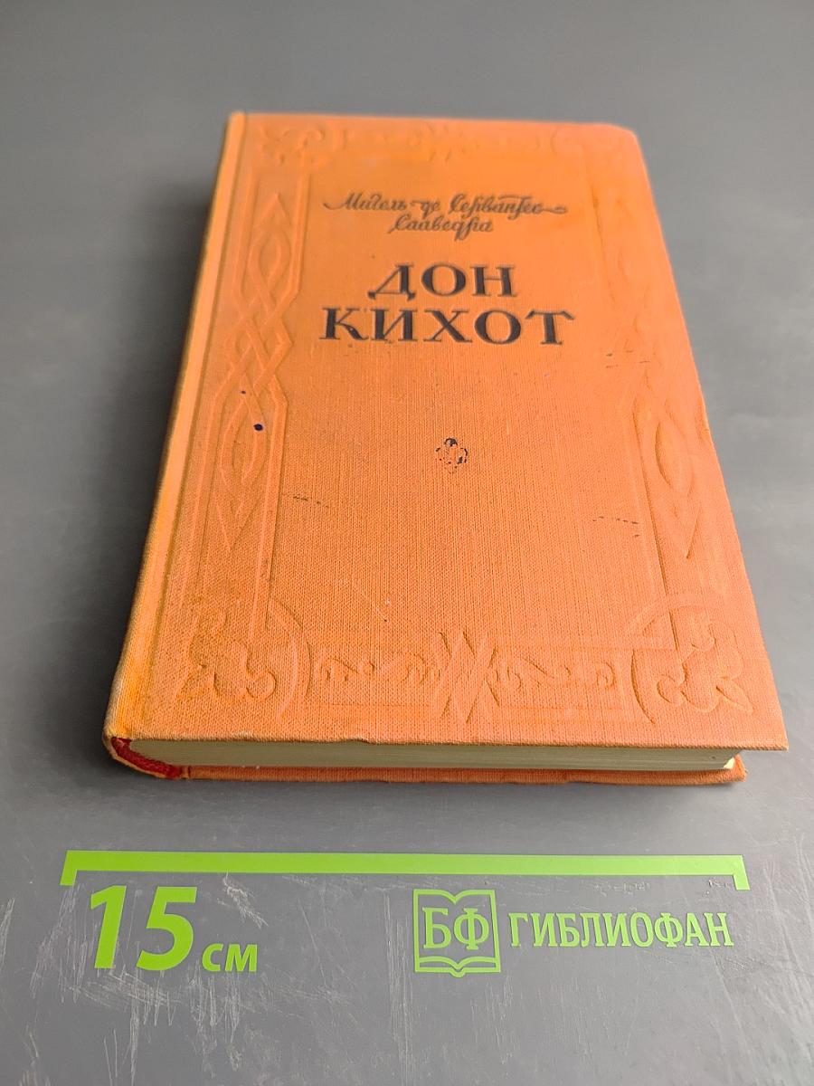 Хитроумный идальго Дон Кихот Ламанчский. Часть первая