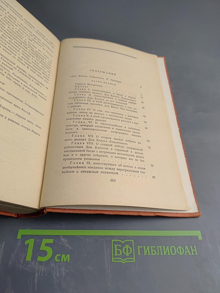 Хитроумный идальго Дон Кихот Ламанчский. Часть первая