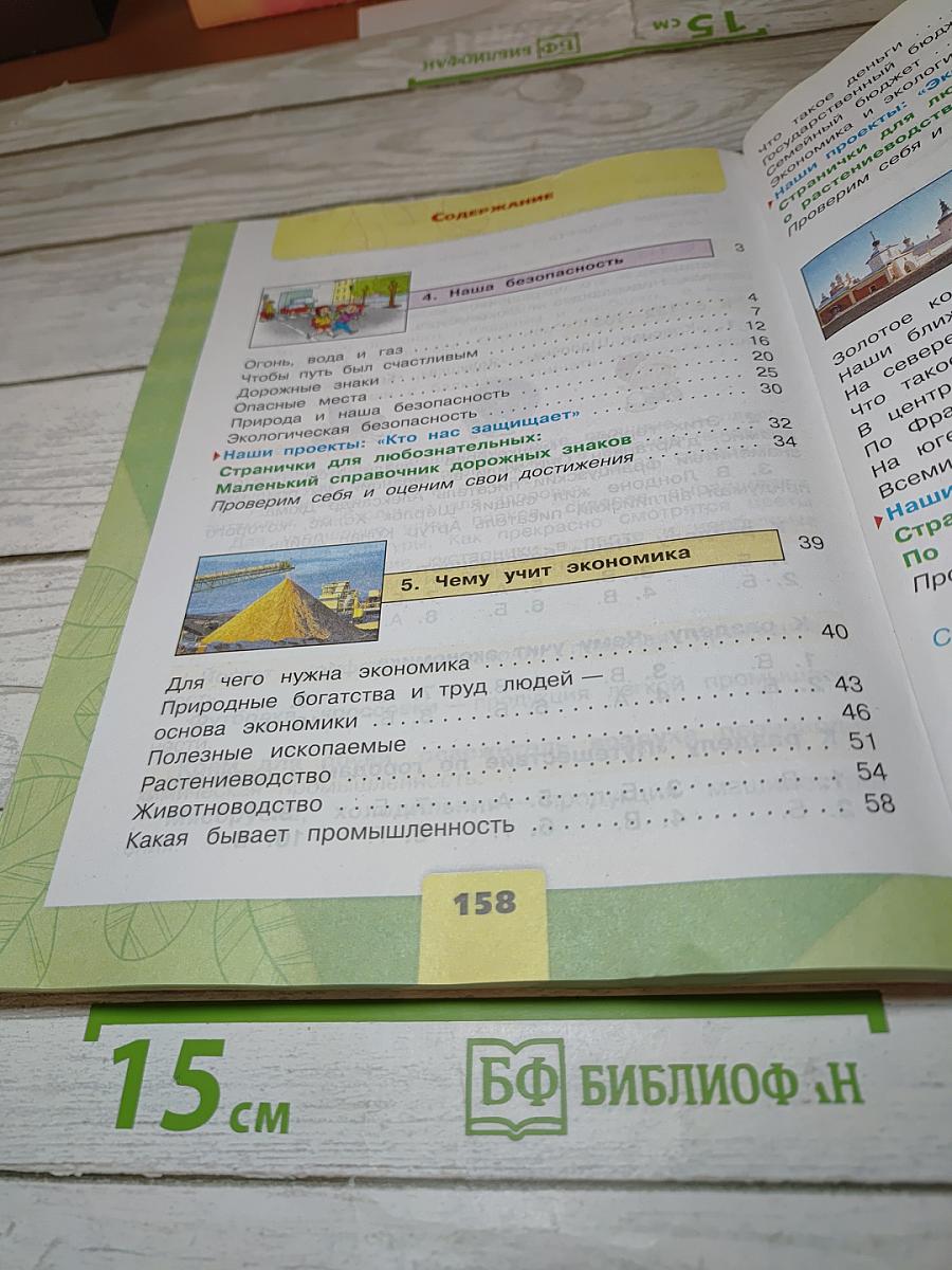 Окружающий мир. 3 класс. Часть 2