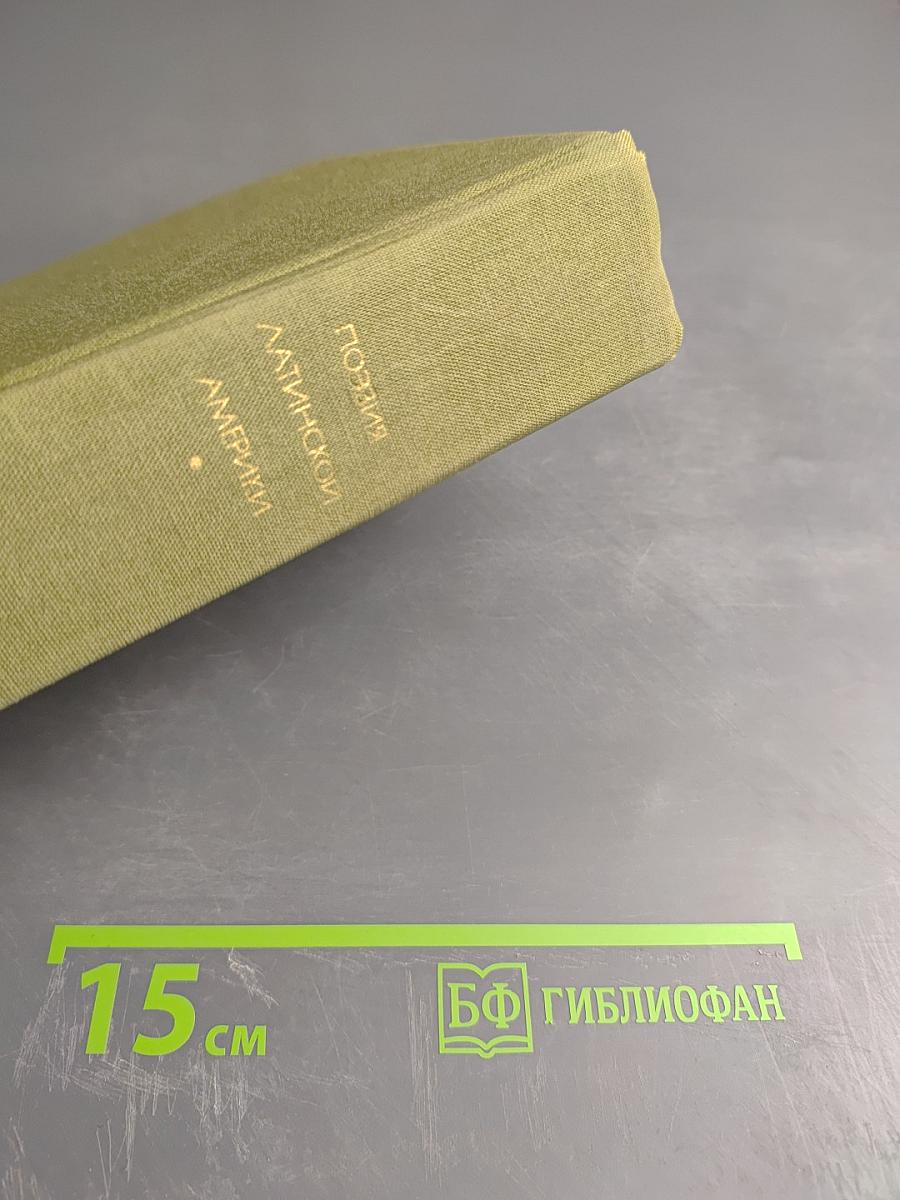 Поэзия Латинской Америки