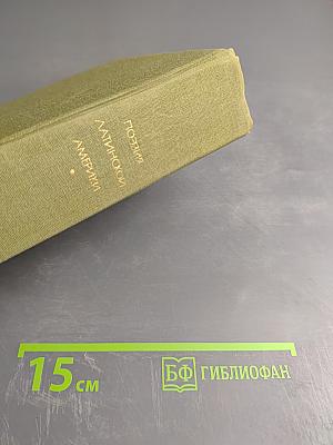 Поэзия Латинской Америки