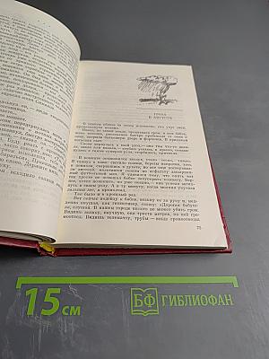 Новоселы далеких мест