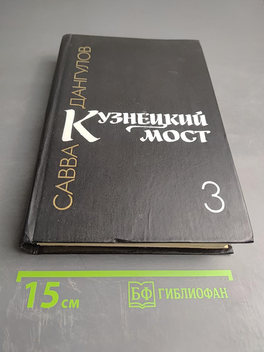 Кузнецкий мост. Книга третья