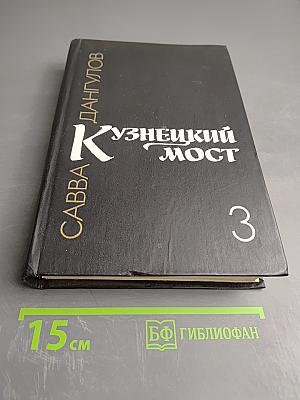 Кузнецкий мост. Книга третья