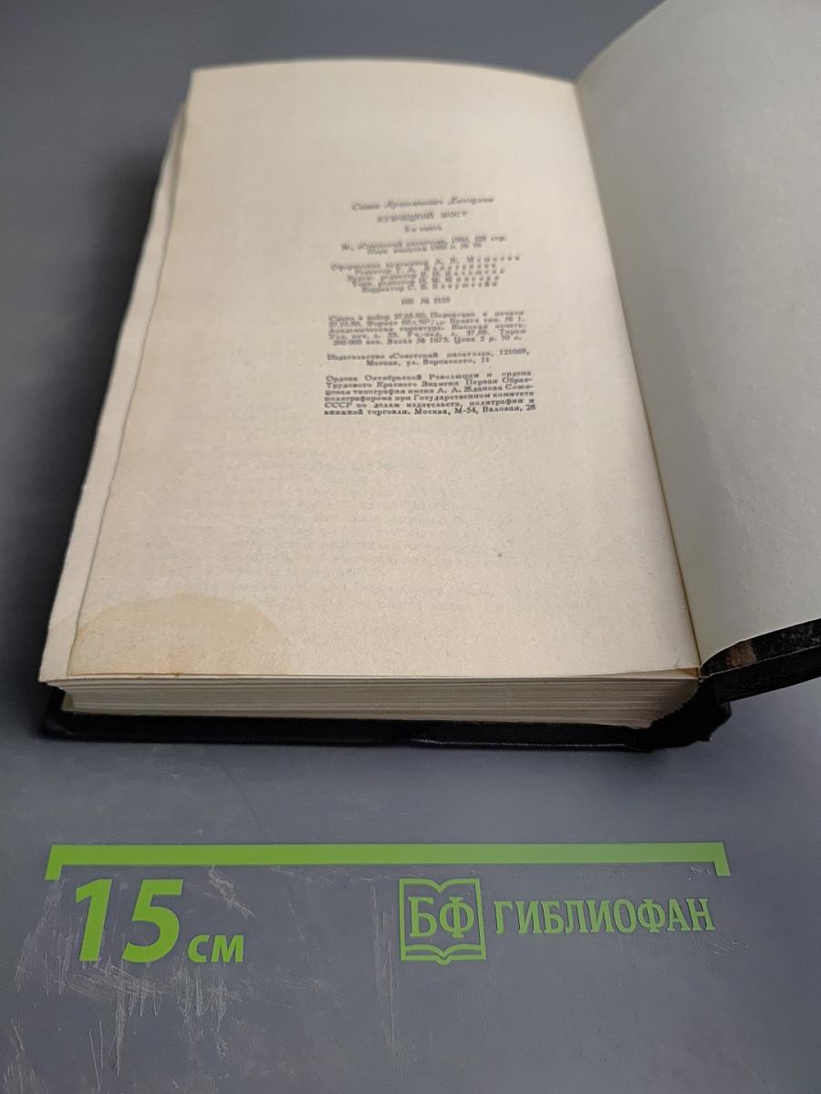 Кузнецкий мост. Книга третья