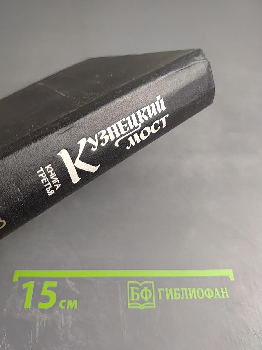 Кузнецкий мост. Книга третья