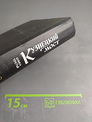 Кузнецкий мост. Книга третья