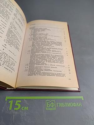 Справочник по правописанию и стилистике