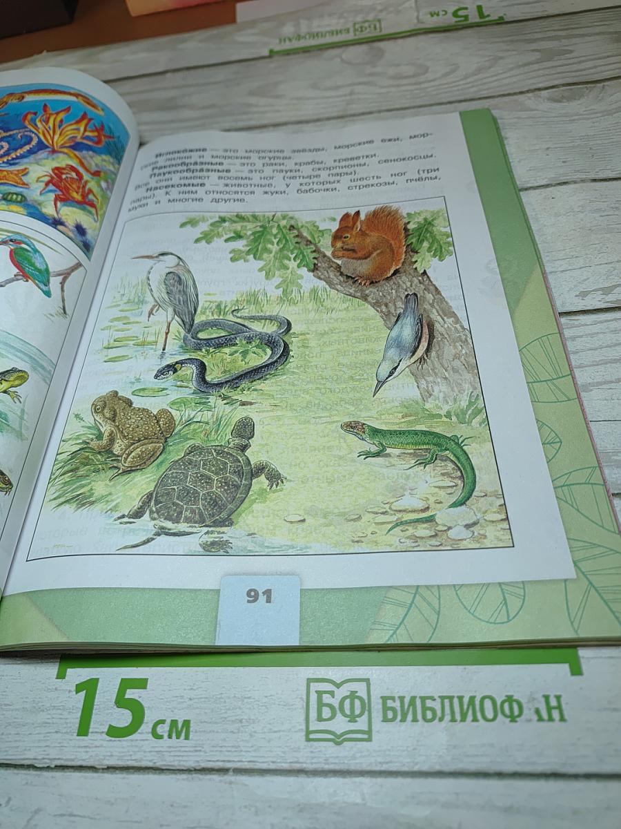 Окружающий мир, 3 класс, Часть 1