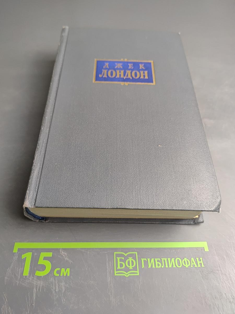 Железная пята