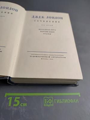 Железная пята