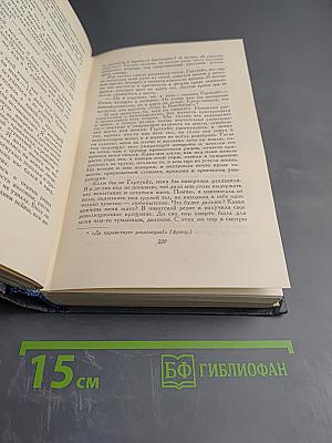 Железная пята