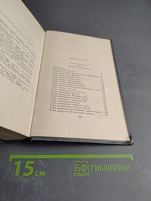 Железная пята