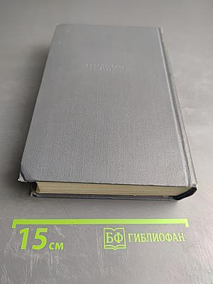 Железная пята