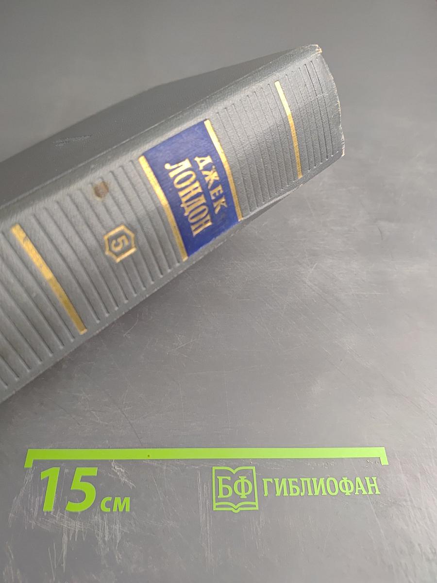 Железная пята