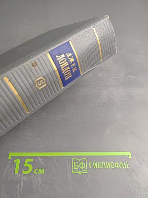 Железная пята