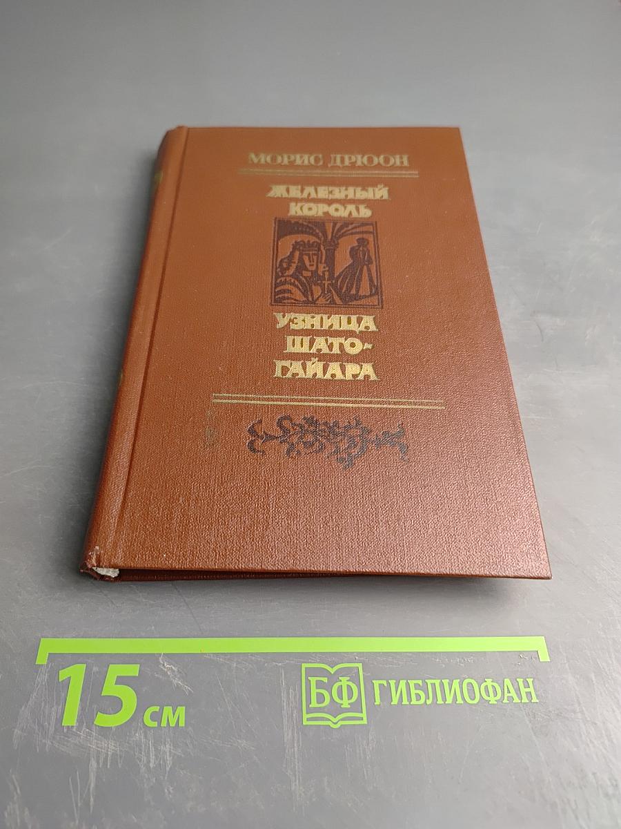 Железный король. Узница Шато-Гайара