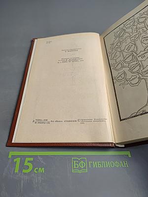 Железный король. Узница Шато-Гайара