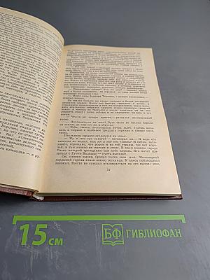 Железный король. Узница Шато-Гайара