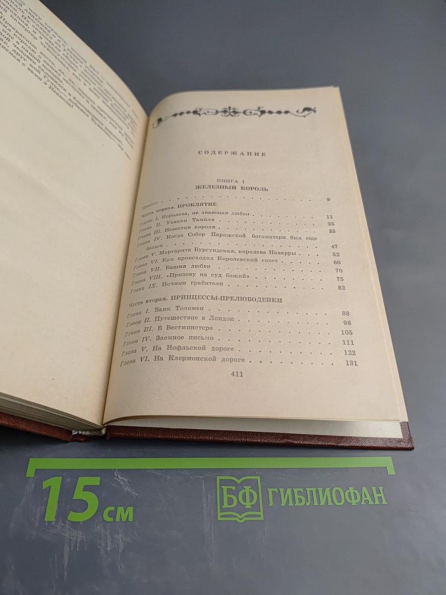 Железный король. Узница Шато-Гайара