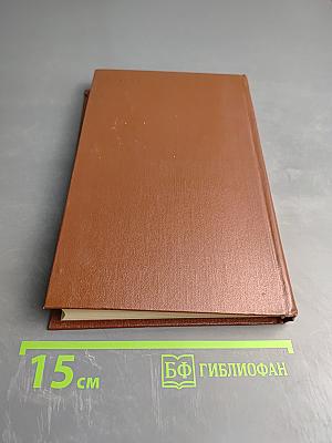 Железный король. Узница Шато-Гайара