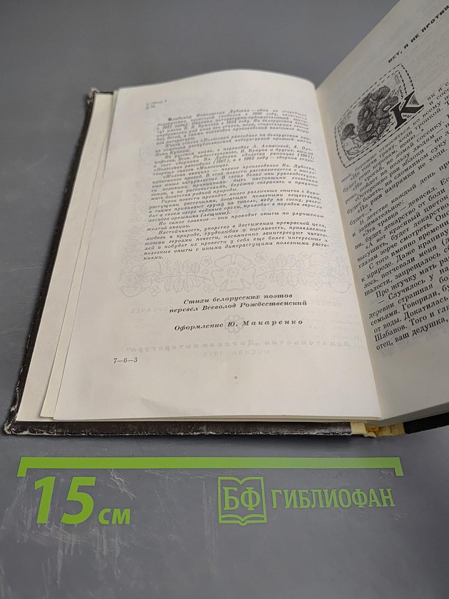 Желтая акация