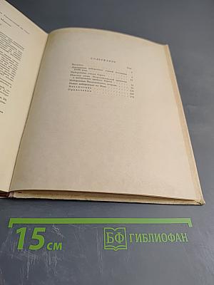 Набережные Невы