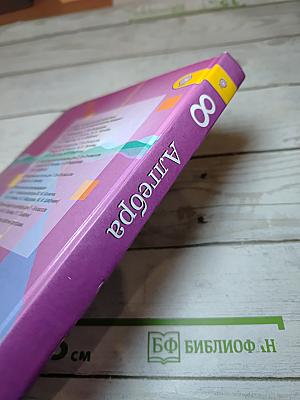 Алгебра 8 класс